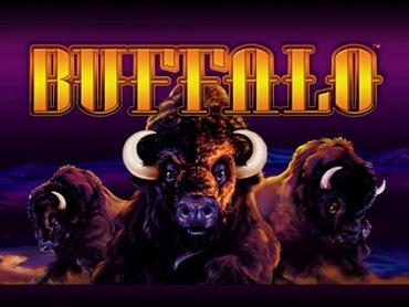 Buffalo slot