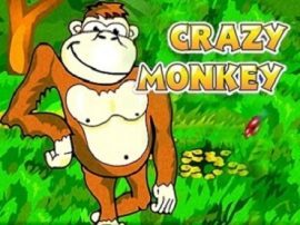 Crazy Monkey slot Crazy Monkey slot