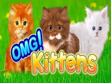Omg Kittens slot