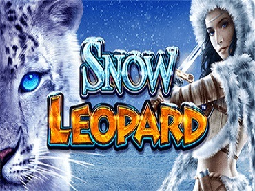 Snow Leopard slot