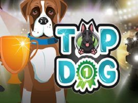Top Dog slot