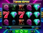 Twin Spin slot