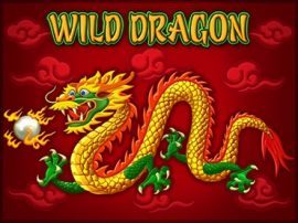 Wild Dragon slot Wild Dragon slot
